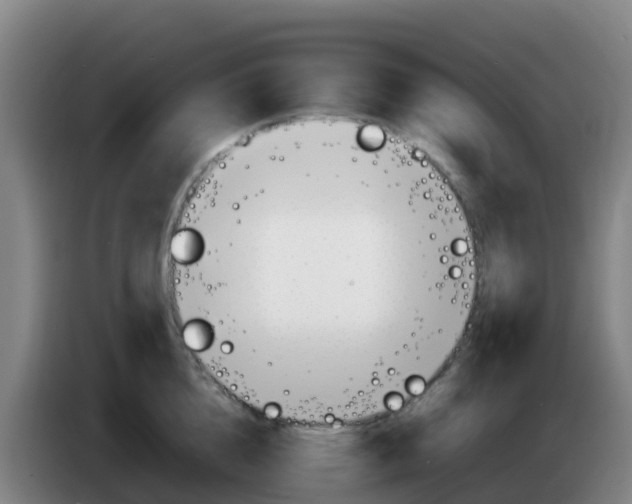 X0000086290856200704201921