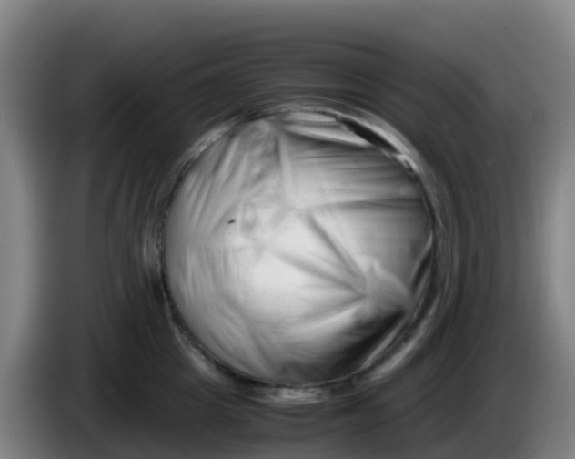 X0000086290857200704201921