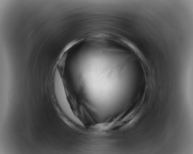 X0000086290858200704201921