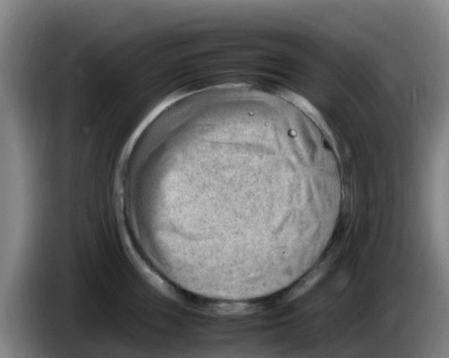 X0000086290859200704201922