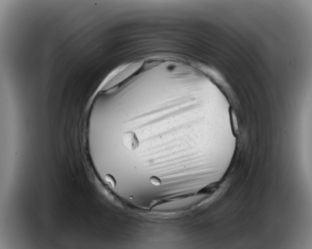 X0000086290860200704201922