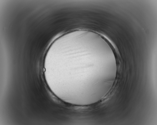 X0000086290861200704201922