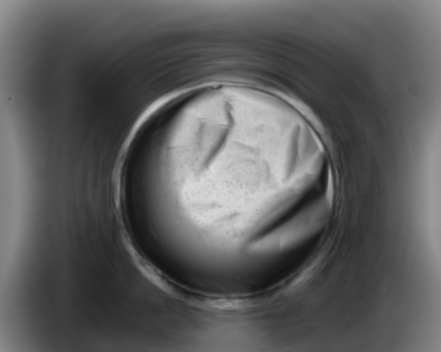X0000086290862200704201922