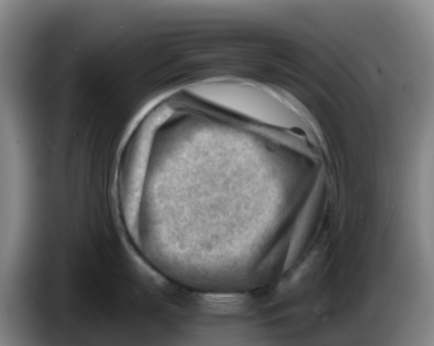 X0000086290863200704201922