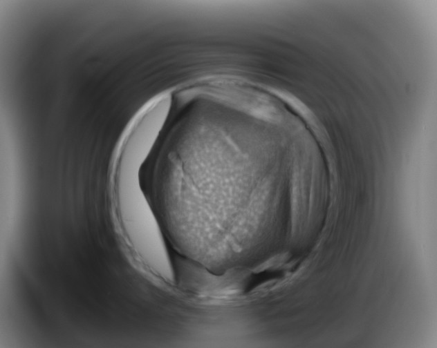 X0000086290864200704201922