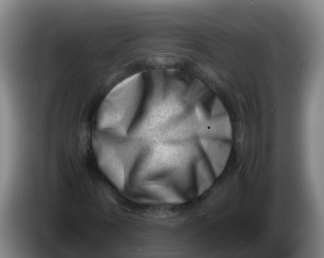 X0000086290866200704201921