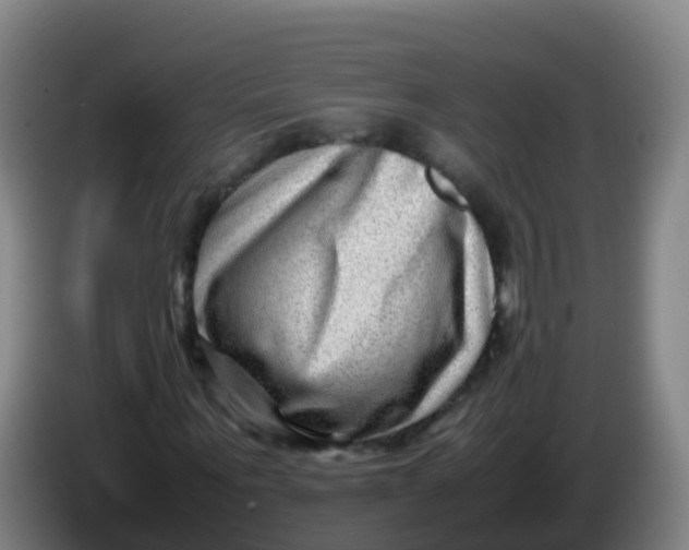 X0000086290867200704201921
