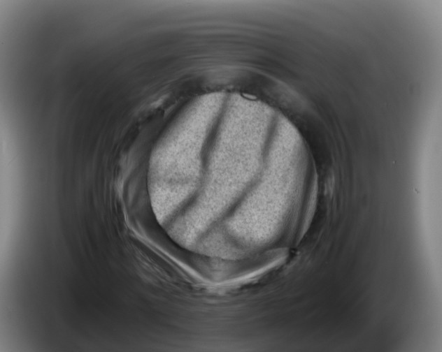 X0000086290868200704201921