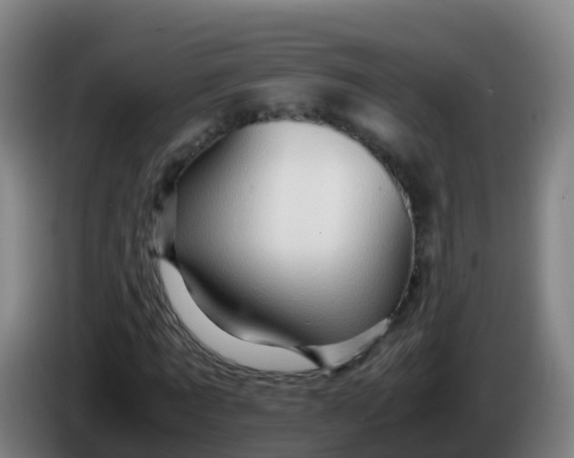 X0000086290869200704201921
