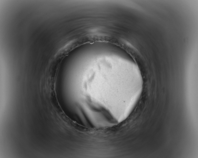 X0000086290870200704201921
