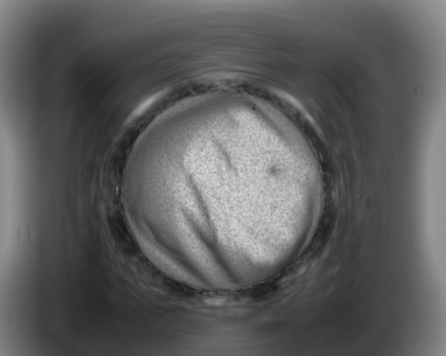 X0000086290871200704201921