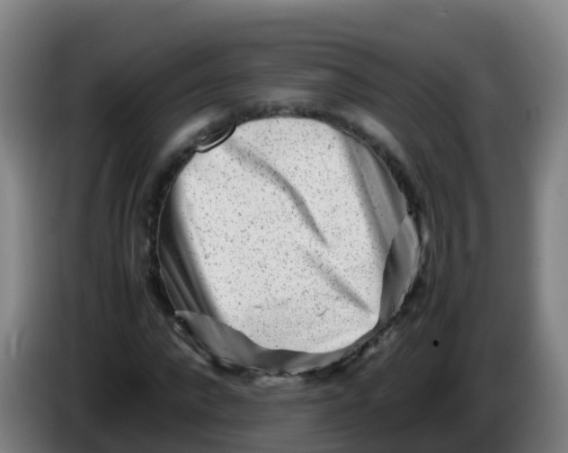 X0000086290872200704201921