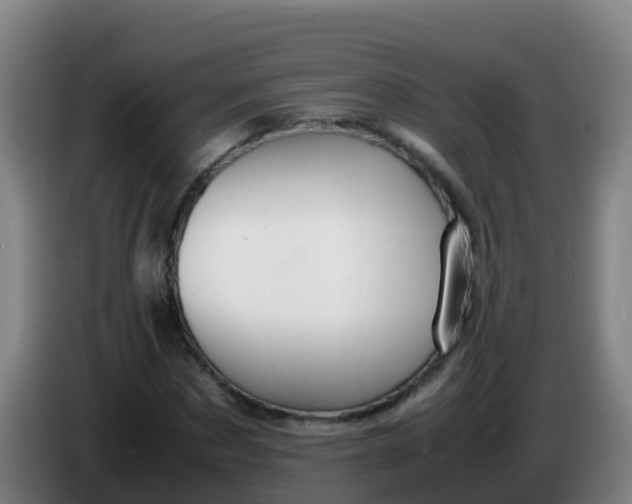 X0000086290873200704201921