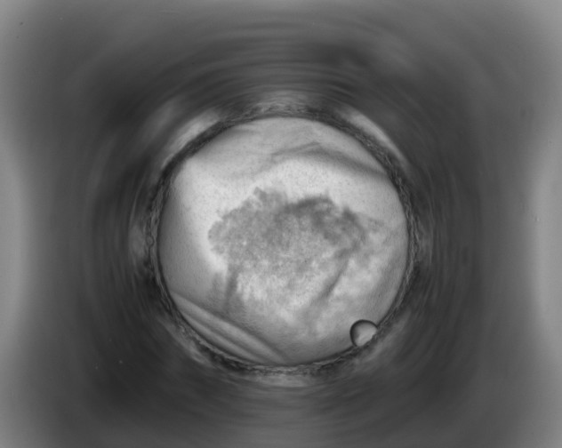 X0000086290874200704201921