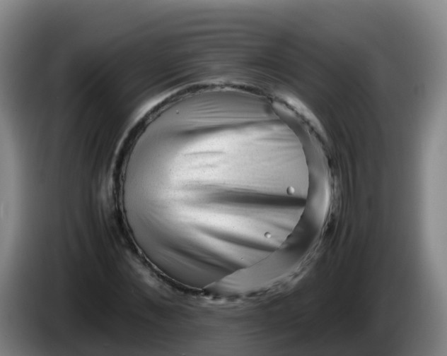 X0000086290876200704201921