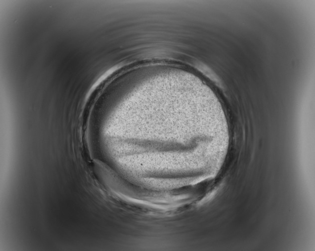 X0000086290877200704201921