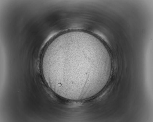 X0000086290878200704201921