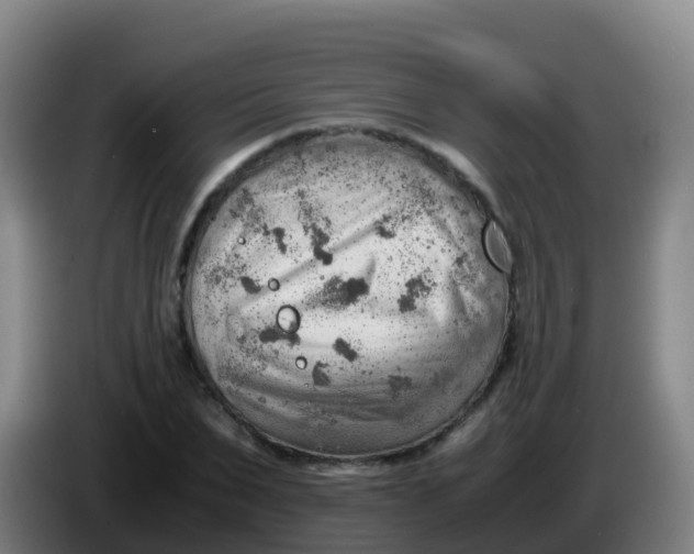 X0000086290879200704201921