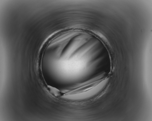 X0000086290880200704201921