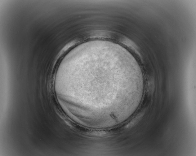 X0000086290882200704201921