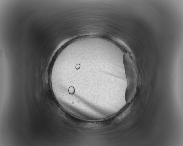 X0000086290883200704201921
