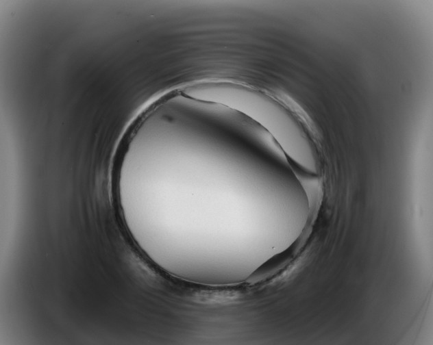 X0000086290884200704201921