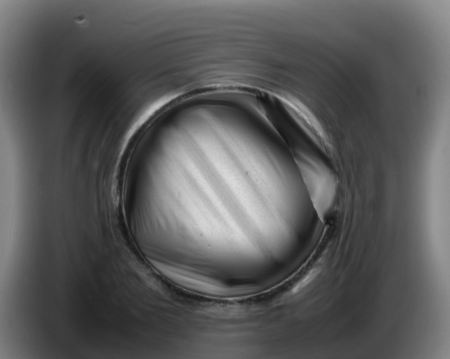 X0000086290885200704201921