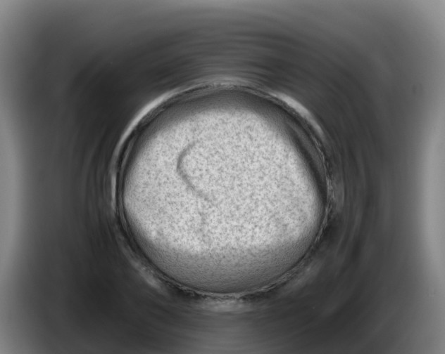 X0000086290886200704201921