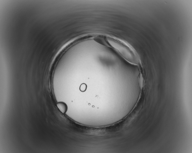 X0000086290887200704201921