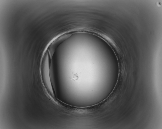 X0000086290888200704201921