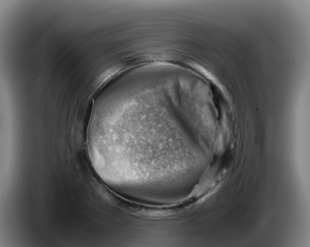 X0000086290889200704201921