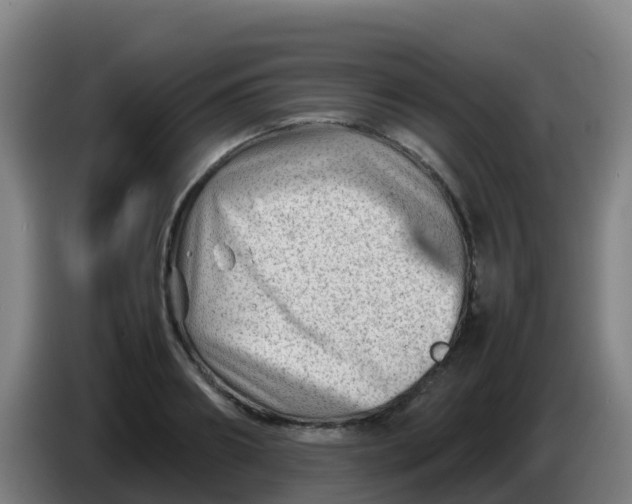X0000086290890200704201921