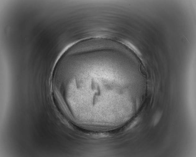 X0000086290891200704201921