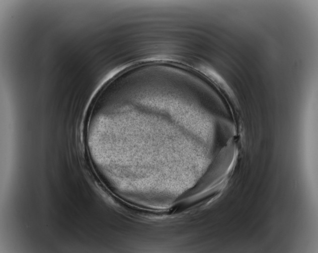 X0000086290892200704201921