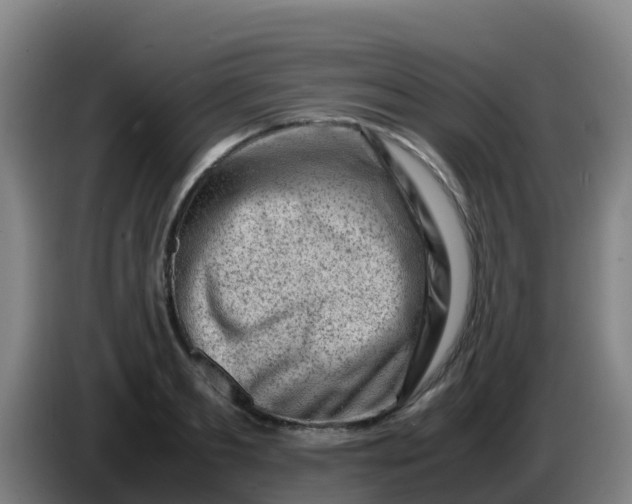 X0000086290893200704201921