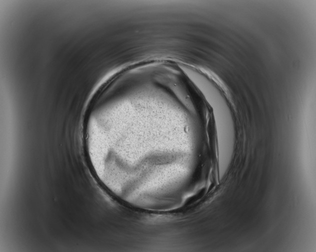 X0000086290894200704201921