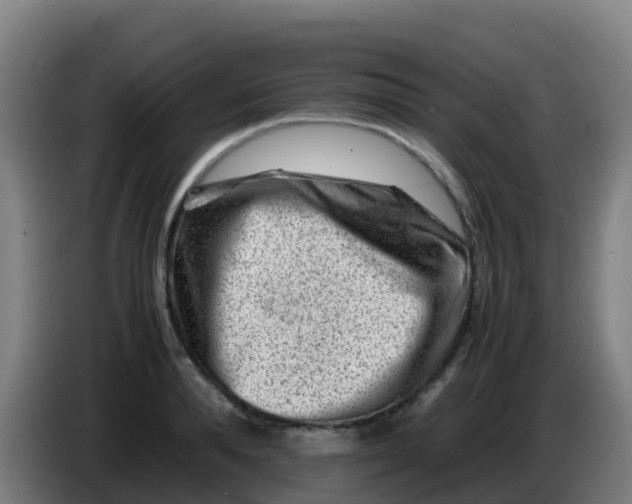 X0000086290896200704201921