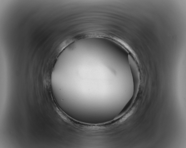 X0000086290897200704201921