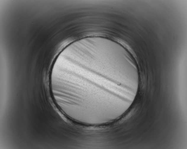 X0000086290898200704201921
