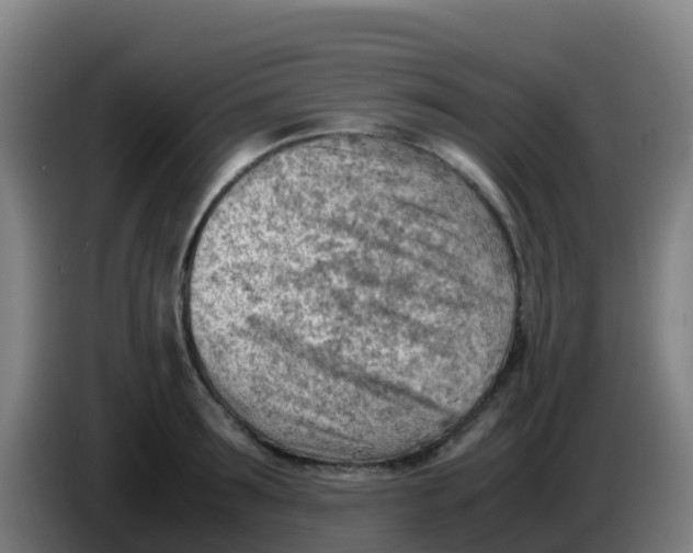 X0000086290899200704201921