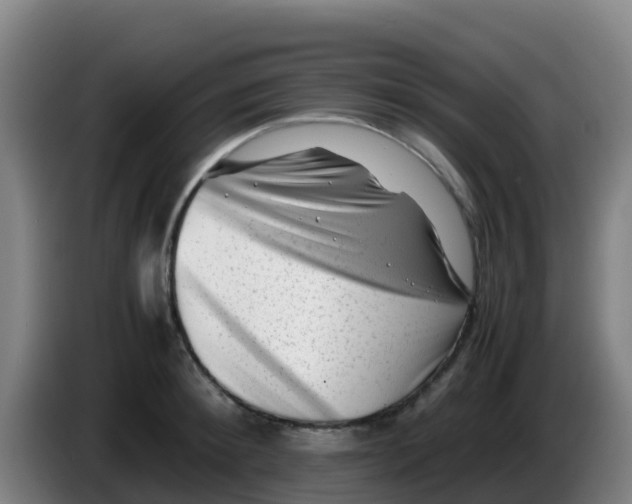 X0000086290900200704201921
