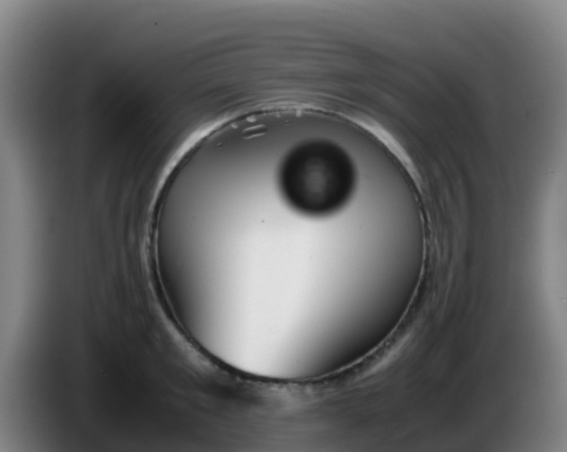 X0000086290901200704201920