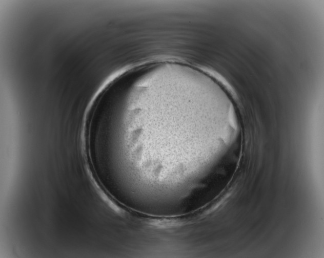 X0000086290902200704201920