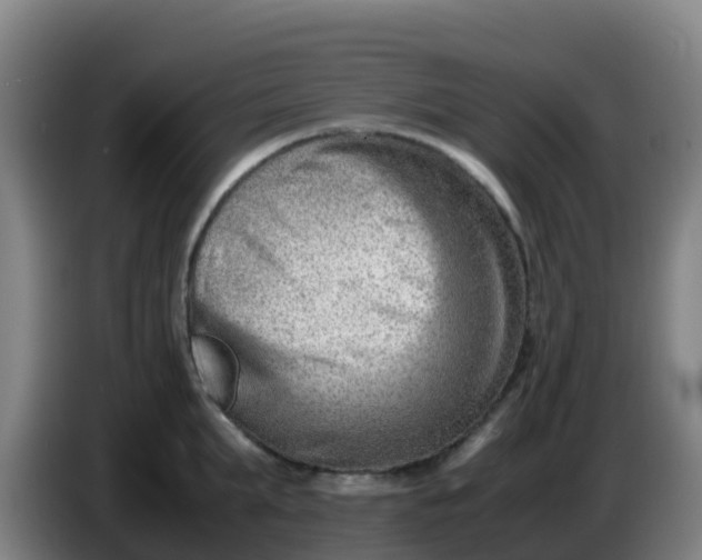 X0000086290903200704201920