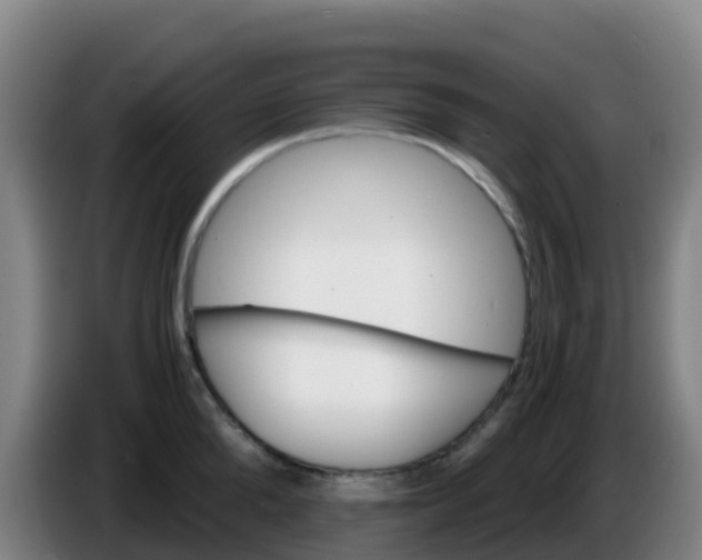 X0000086290904200704201920