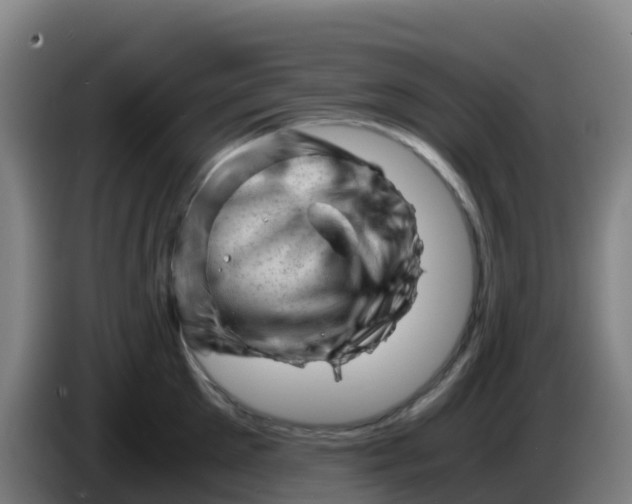 X0000086290905200704201920