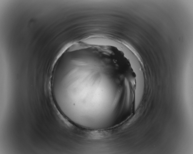X0000086290906200704201920