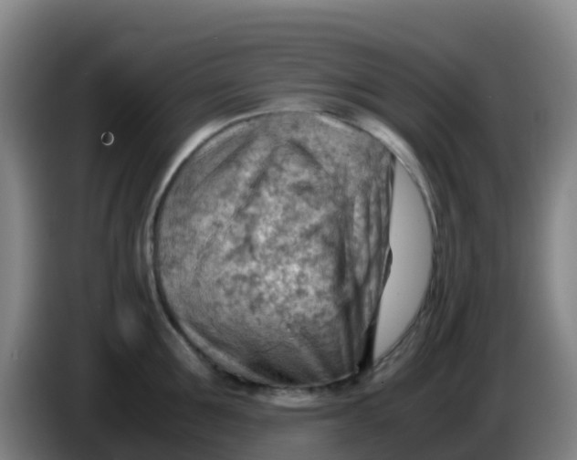 X0000086290907200704201920