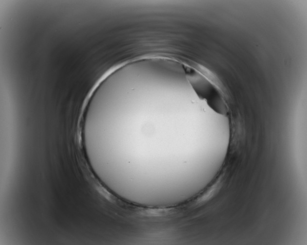 X0000086290908200704201920