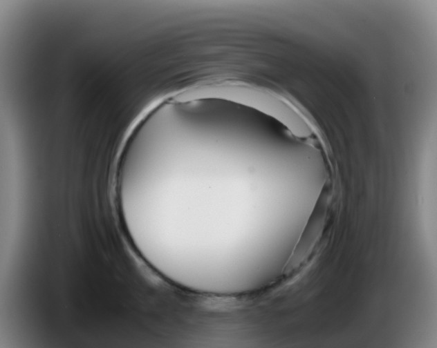 X0000086290909200704201920